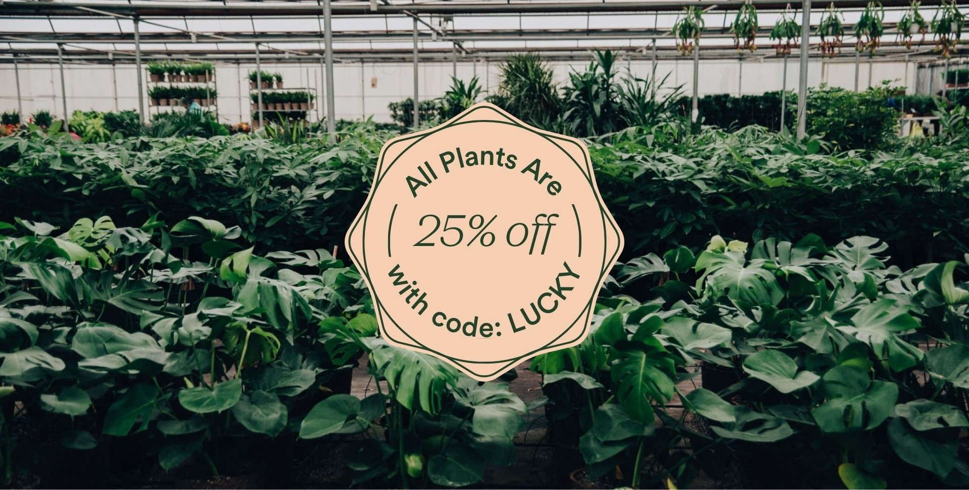 25% off all plants with code LUCKY