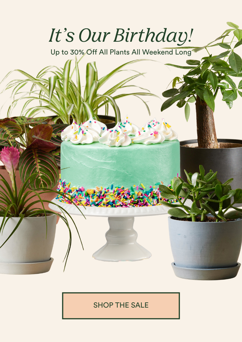 SAVE UP TO 30% ON ALL PLANTS