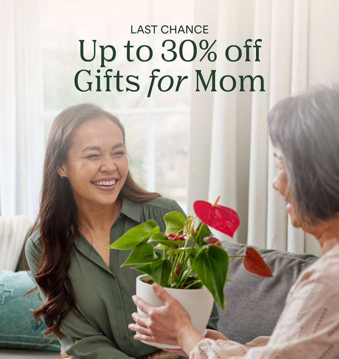 last chance for gifts for mom