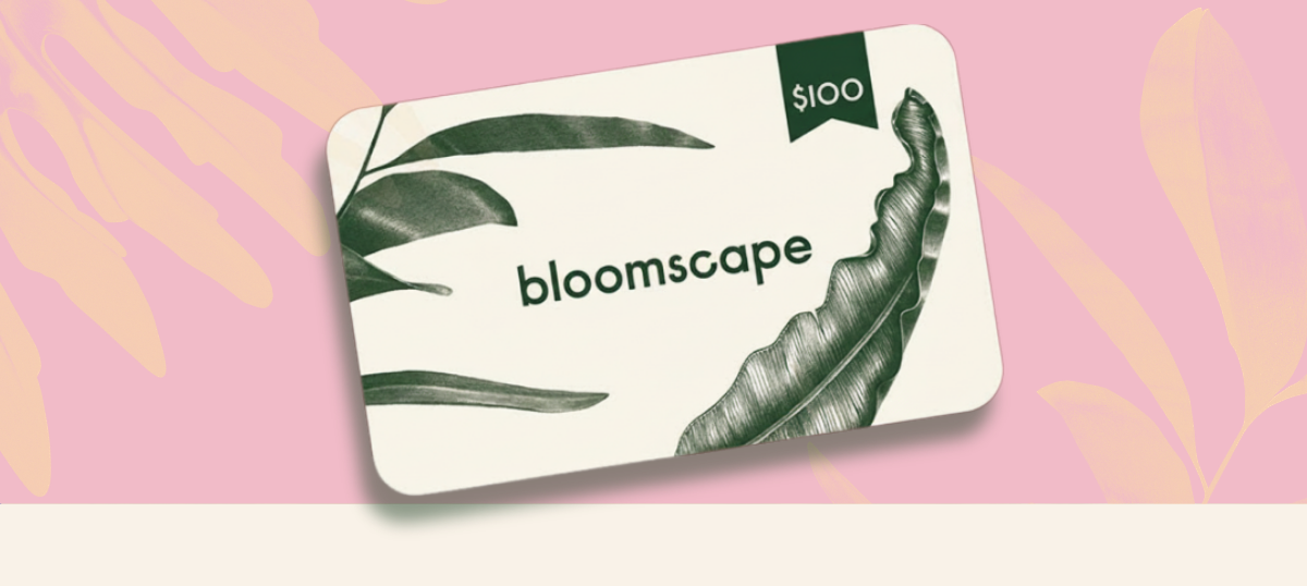 an image of a close up of a card with a plant on it
