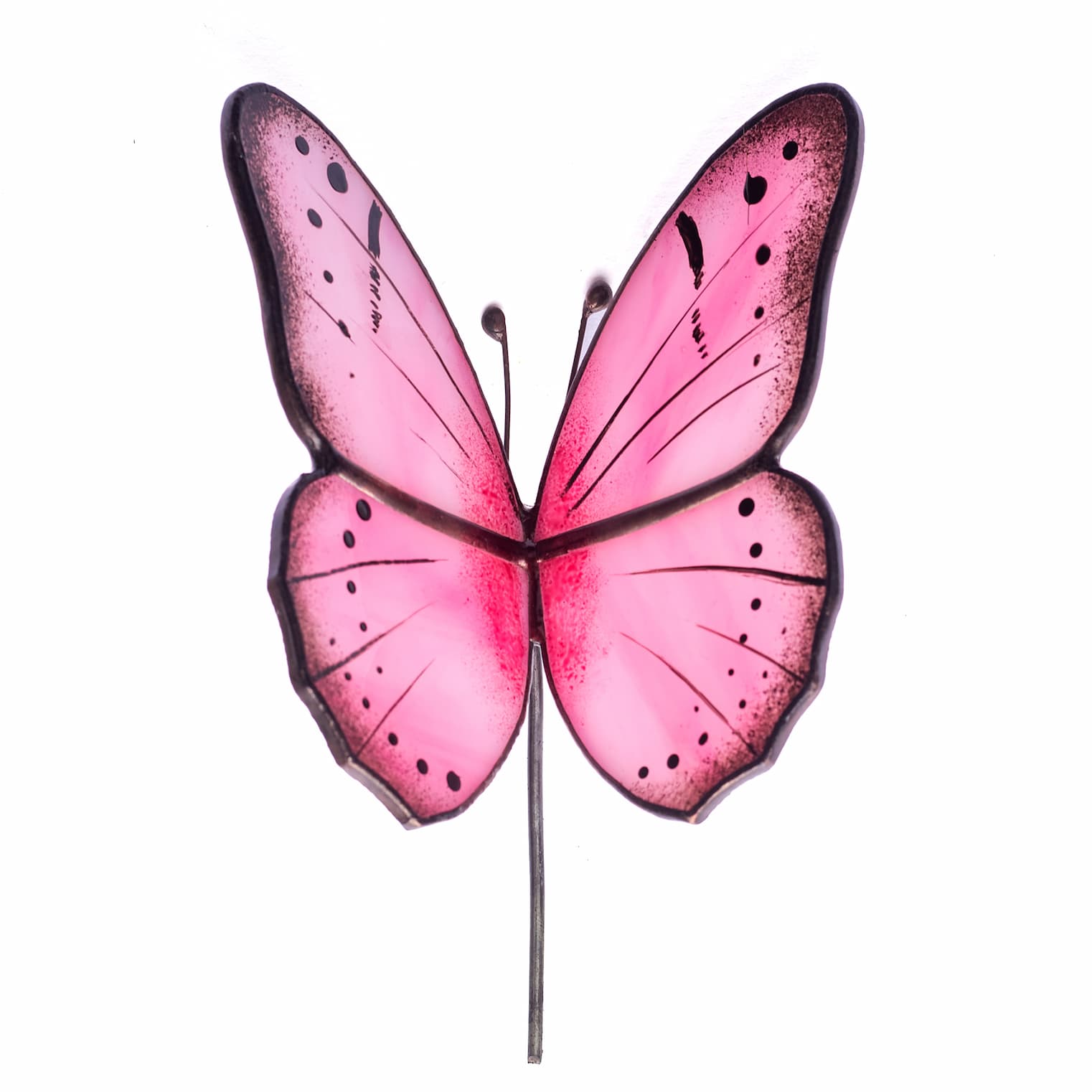 pink butterfly