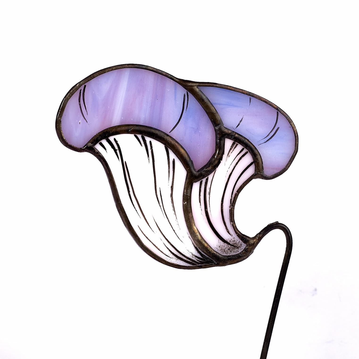 purple oyster mushroom