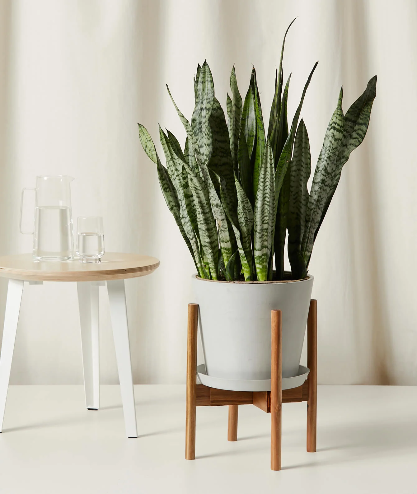 Image of Adjustable Wooden Plant Stand