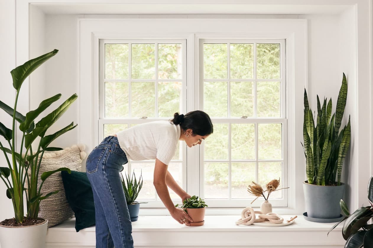 woman caring for plants