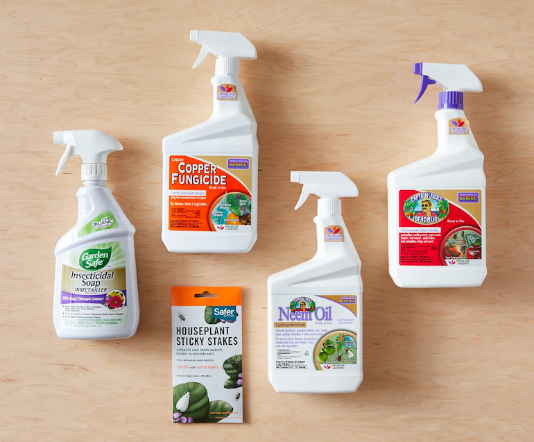 plant care bundle