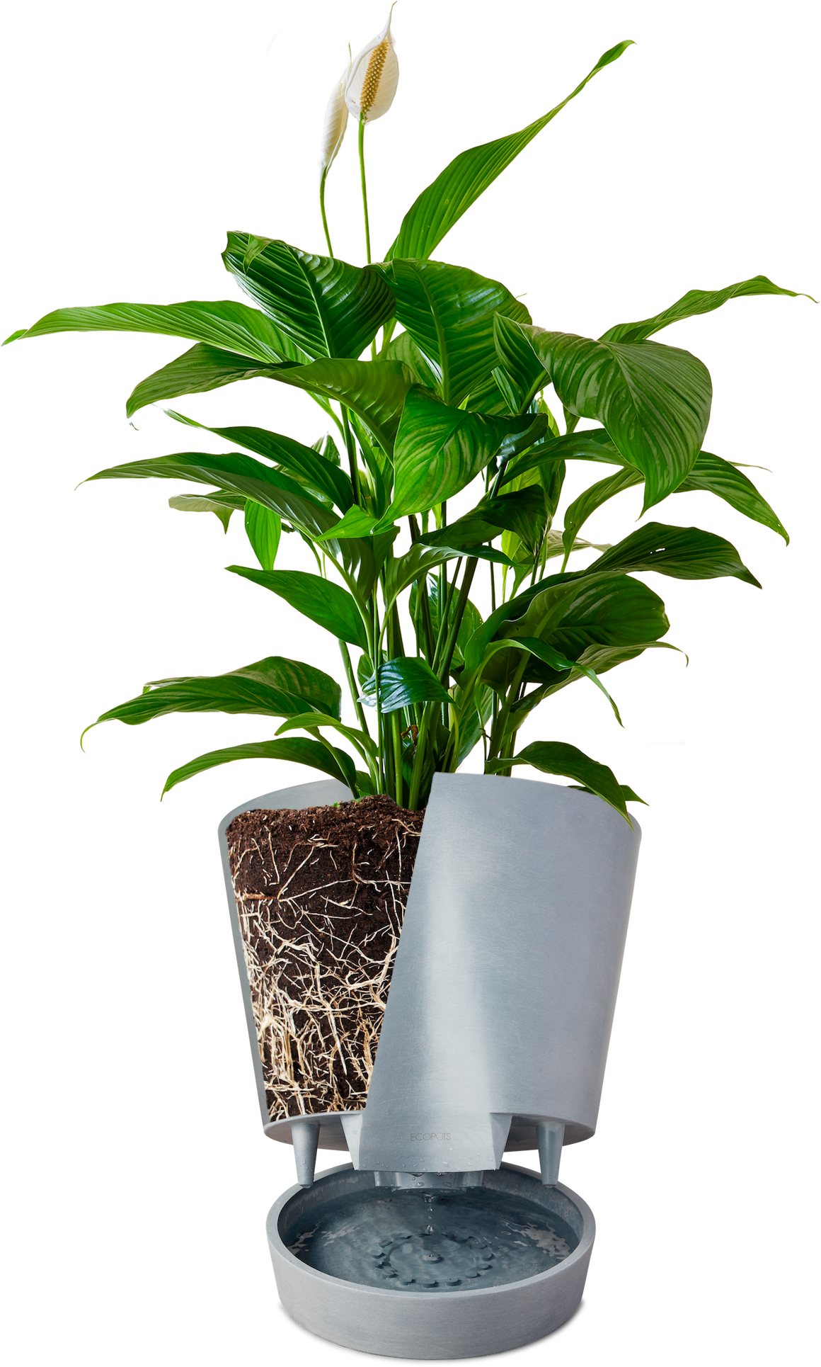 self-watering pot diagram