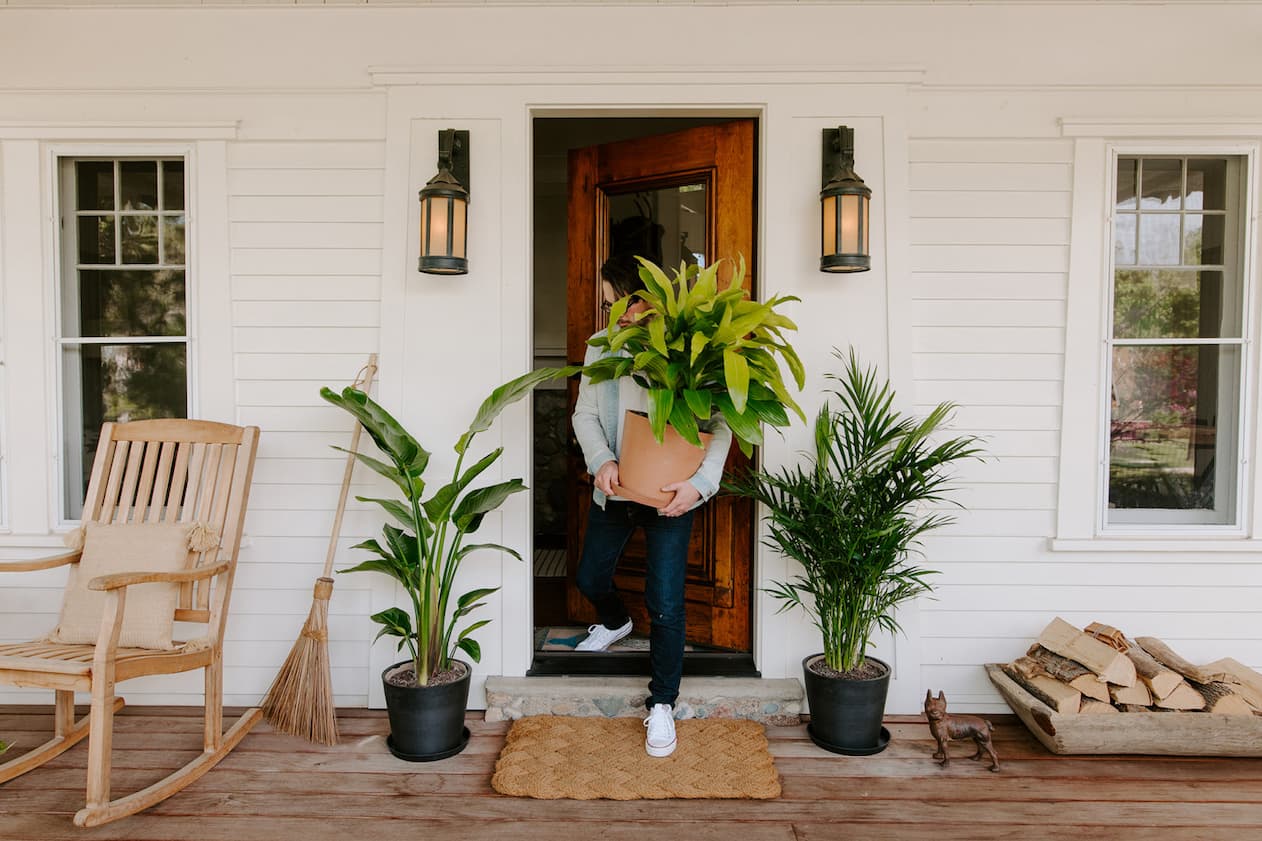 person bringing plant outside!