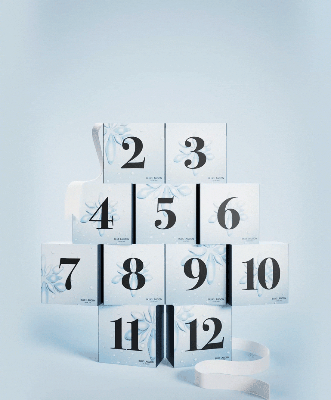 12 Days of Wonder