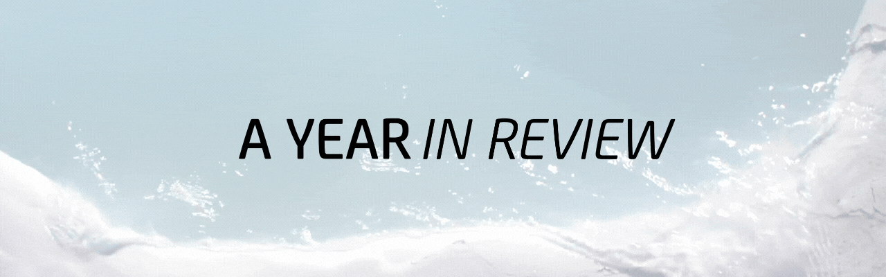 A Year In Review