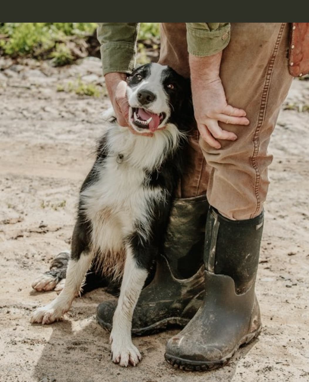 A man petting his dog wearing BOGS. Shop our top selling summer styles for men, women & kids