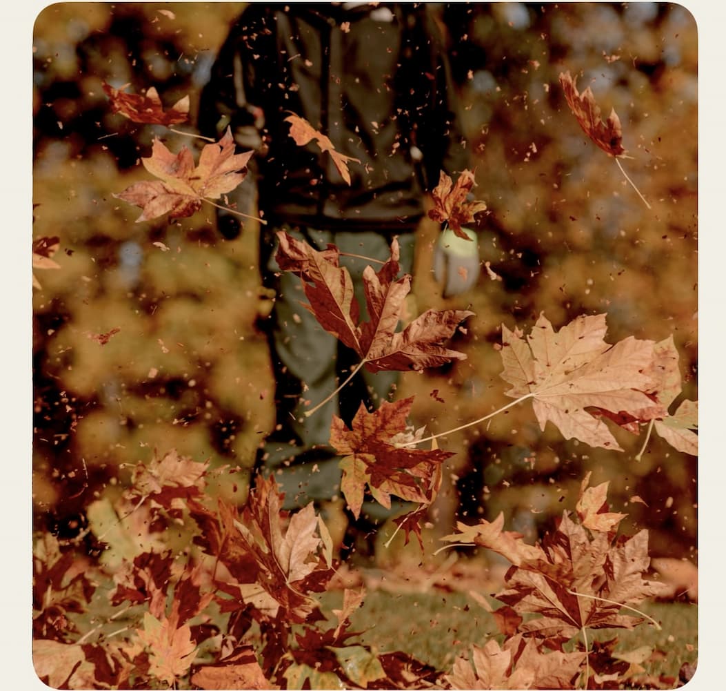 Leaves blowing in the air. Shop our new arrivals.