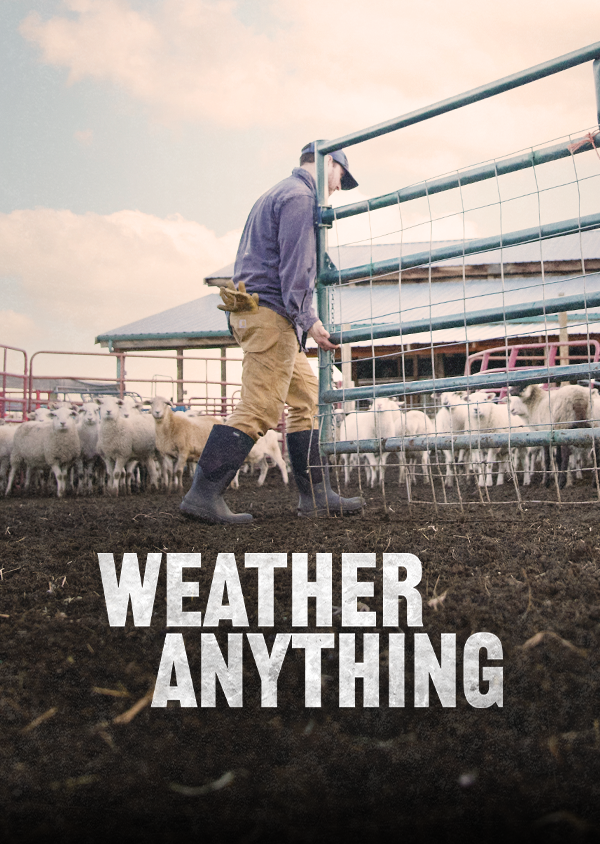 Weather Anything Visual