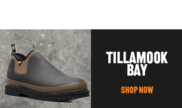 Tillamook Bay