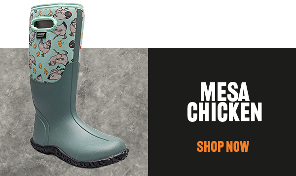 Mesa Chicken