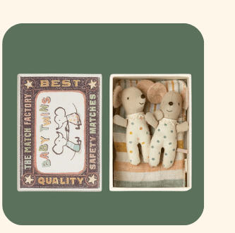 Twins, Baby mice in matchbox