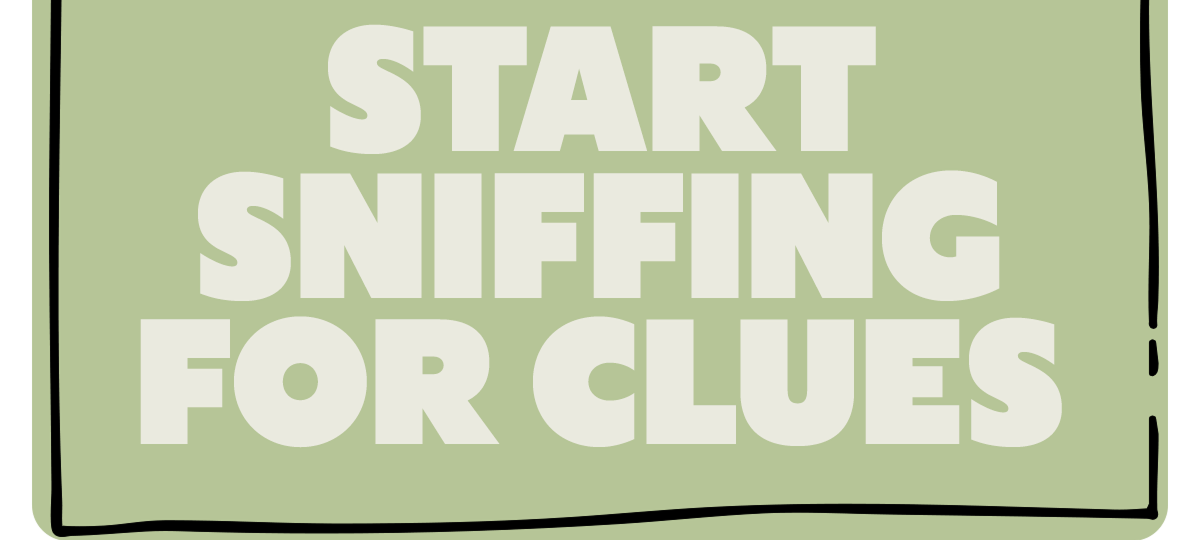 START SNIFFING FOR CLUES