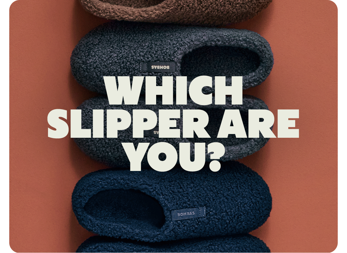 WHICH SLIPPER ARE YOU?