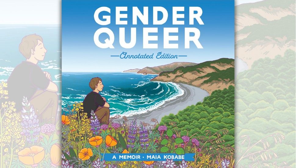 annotated edition of gender queer
