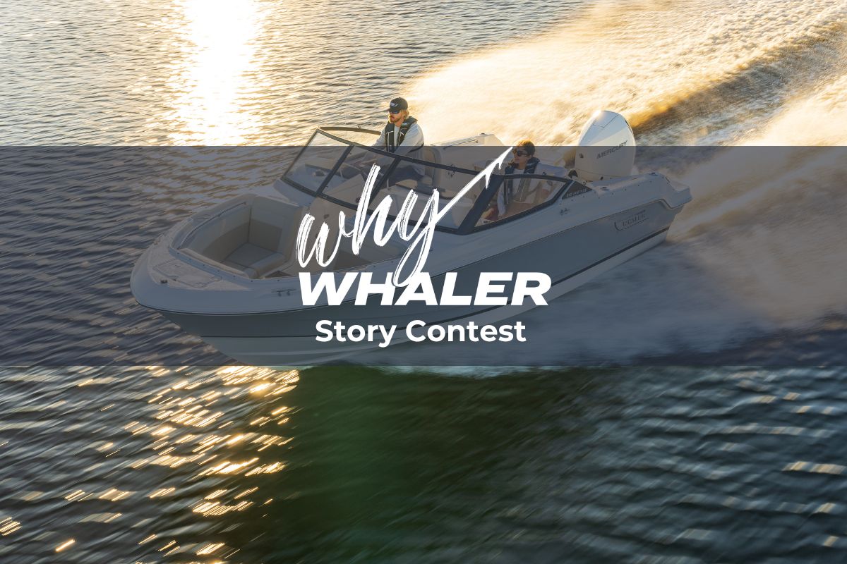 WhyWhaler contest