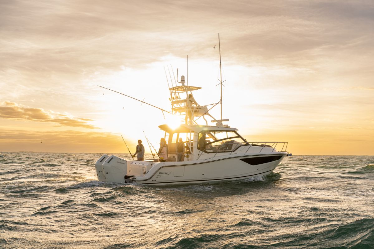 Explore Boston Whaler's 365 Conquest