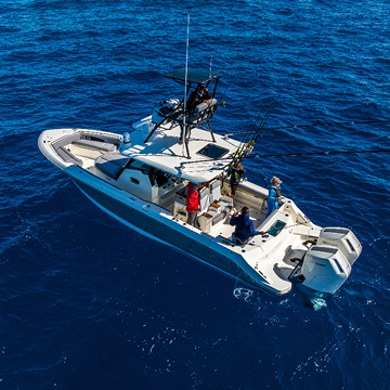 Take a Whaler out on the water