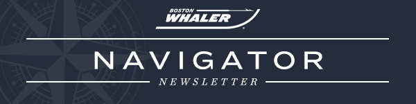 Navigator Newsletter 
