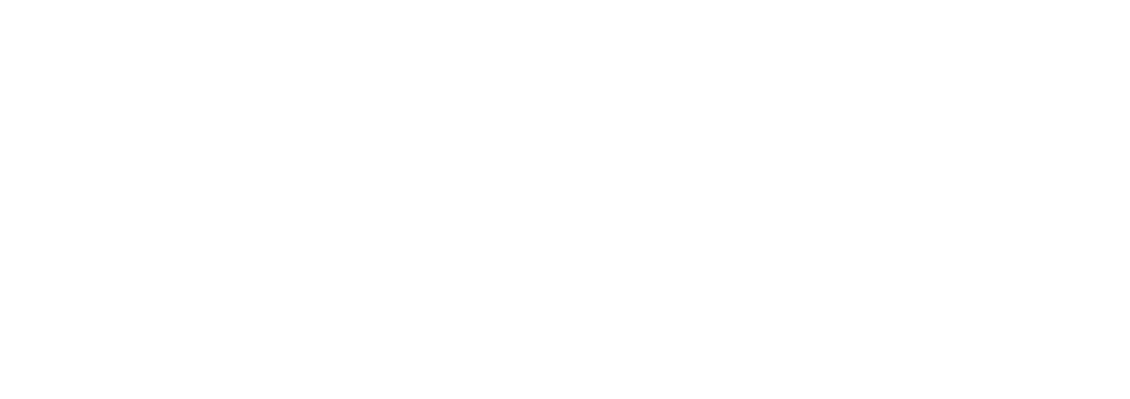 Boston Whaler logo