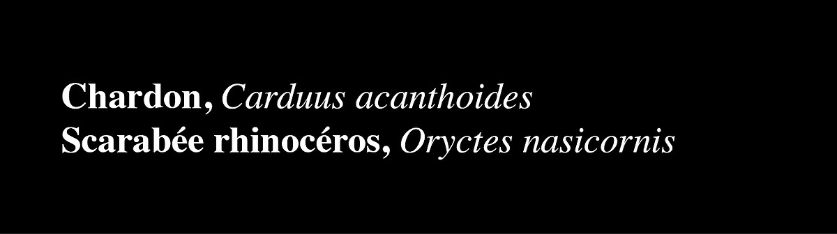 texte