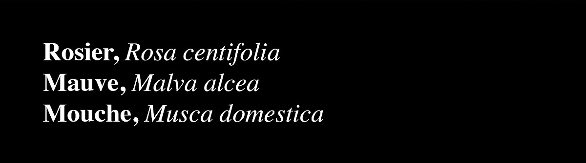 texte