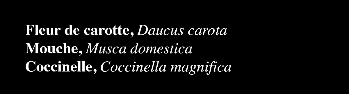 texte