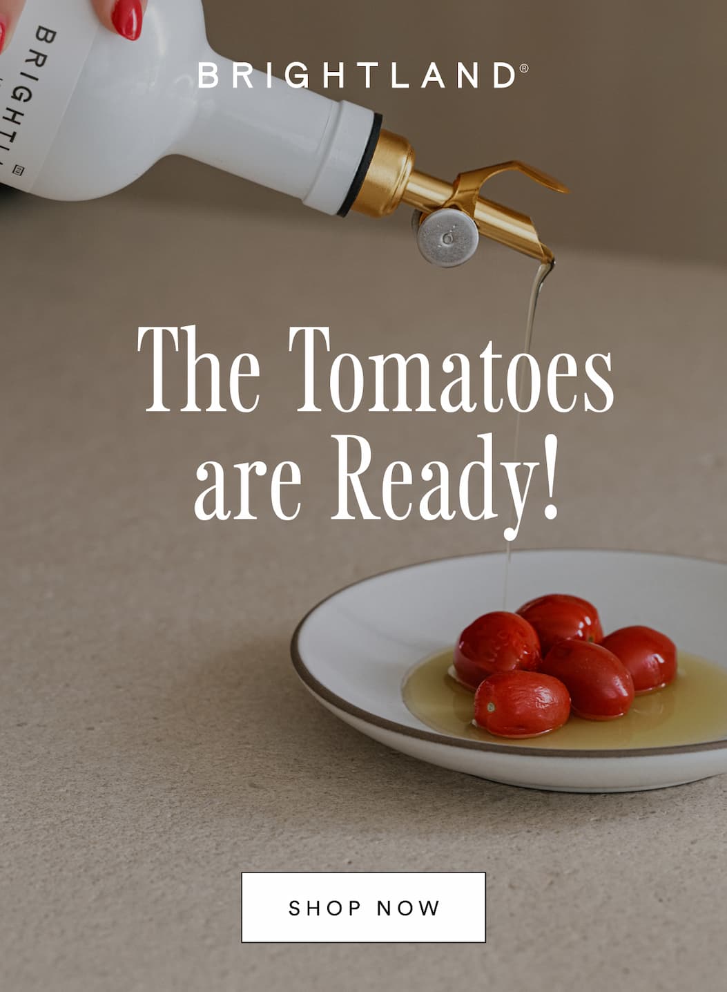 The Tomatoes are Ready! Shop now.