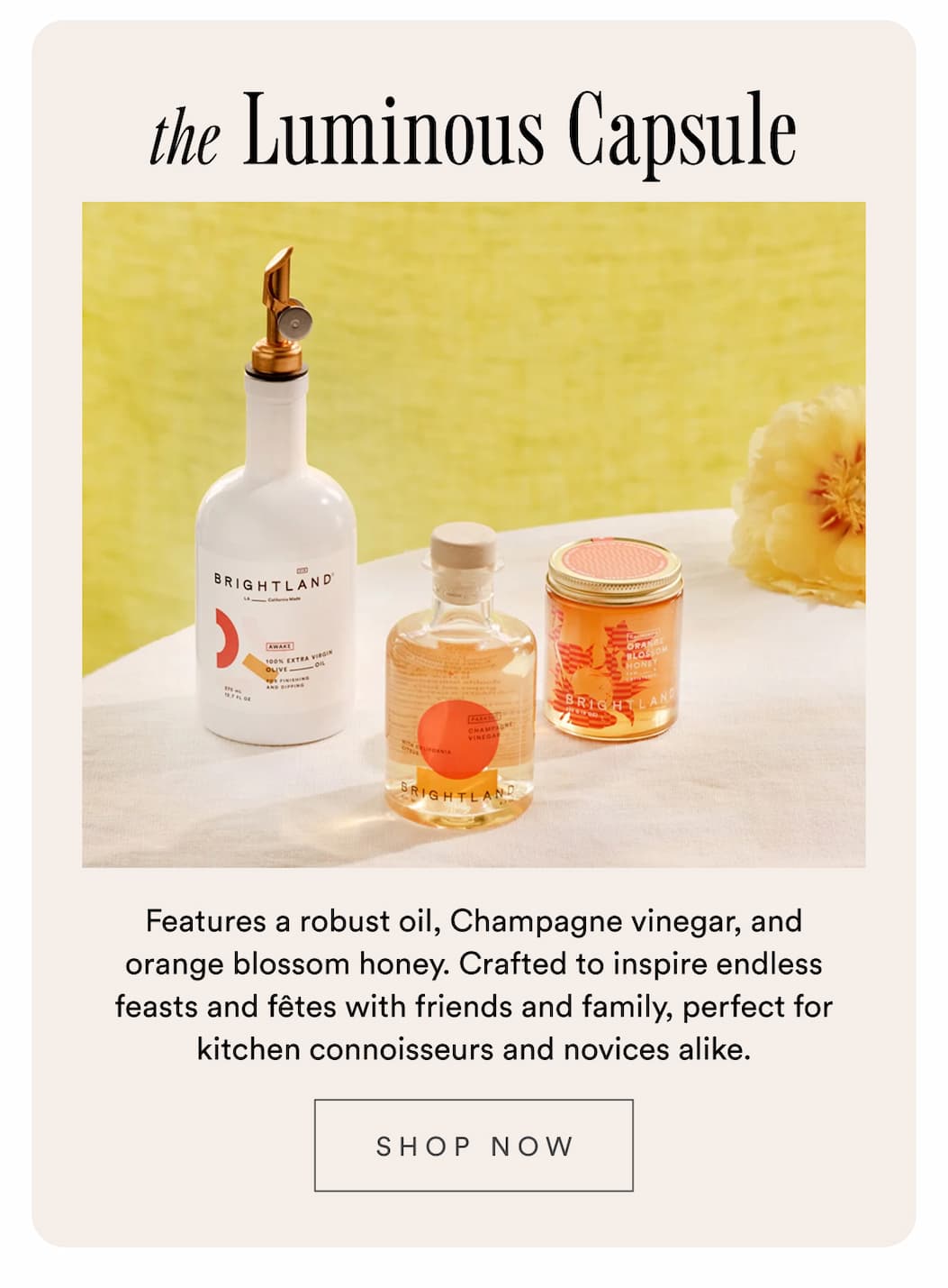 The Luminous Capsule. Features a robust oil, Champagne vinegar, and orange blossom honey. Crafted to inspire endless feasts and fêtes with friends and family, perfect for kitchen connoisseurs and novices alike. Shop now.
