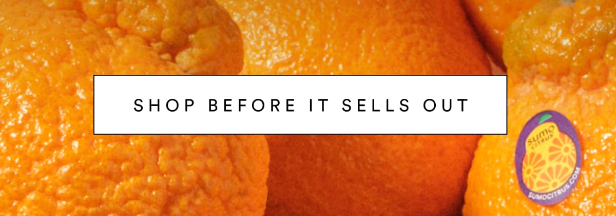 SHOP BEFORE IT SELLS OUT