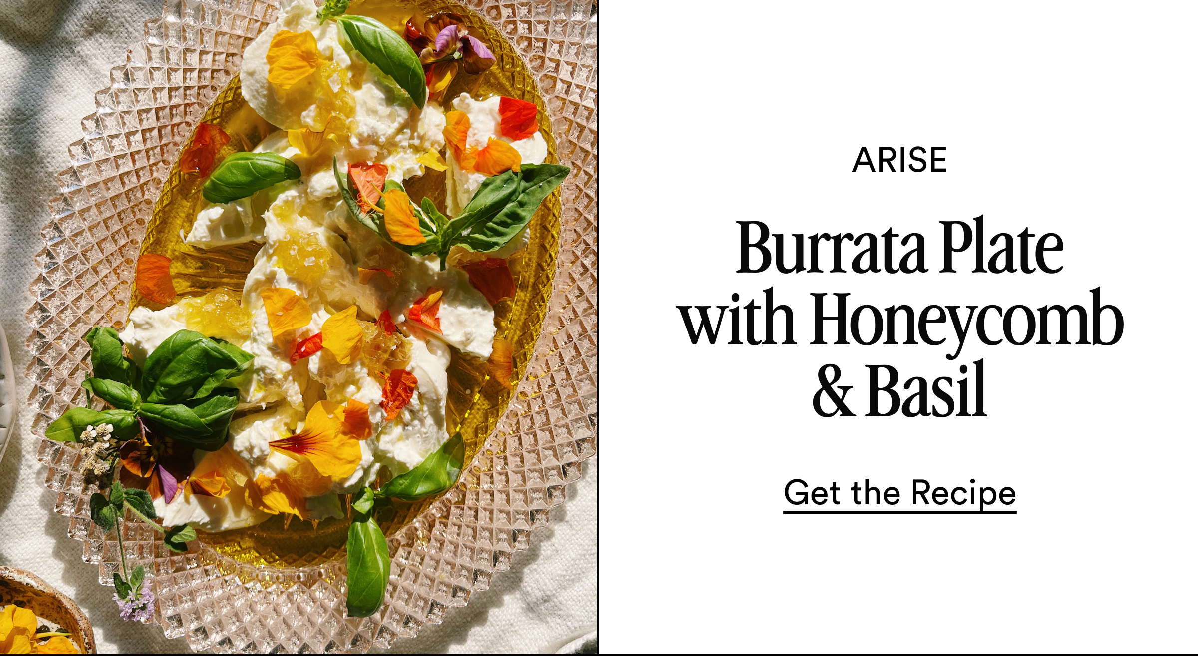 Burrata Plate with Honeycomb & Basil