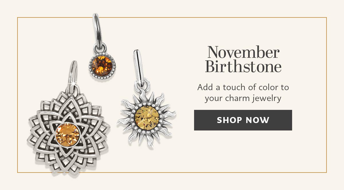 November Birthstone - Add a touch of color to your charm jewelry. - Shop Now