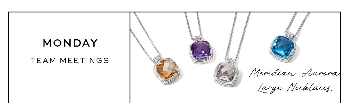 Monday: Team Meetings - Meridian Aurora Large Necklaces