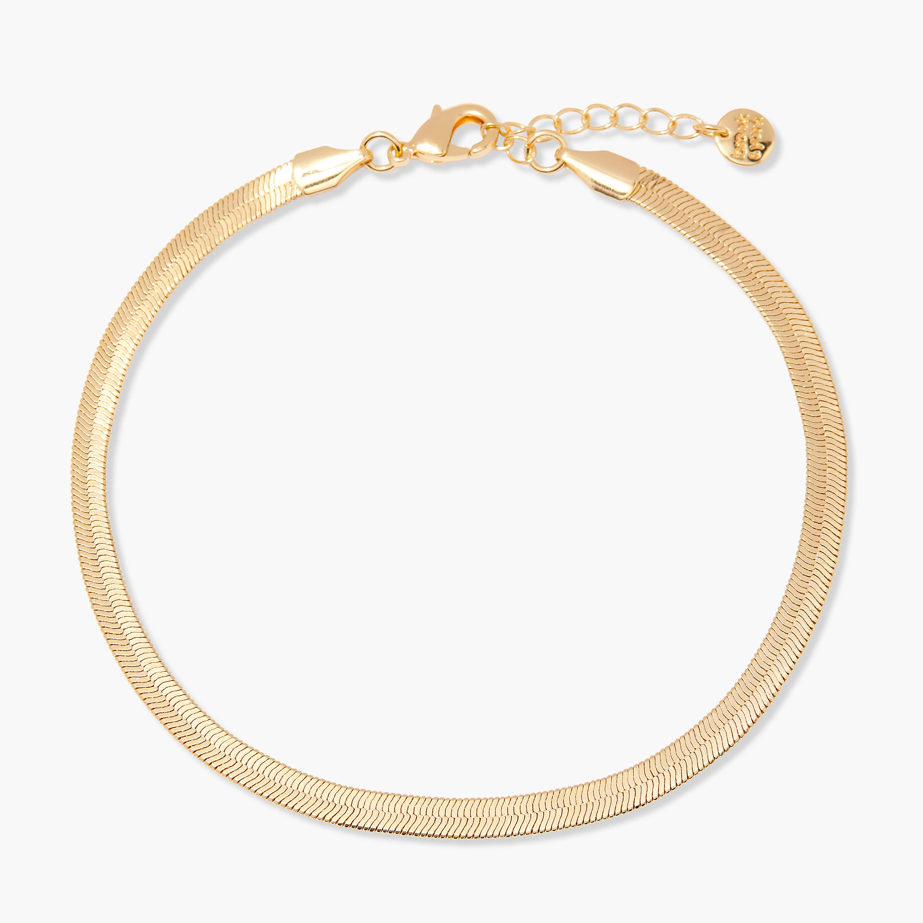 Image of Hazel Herringbone Anklet
