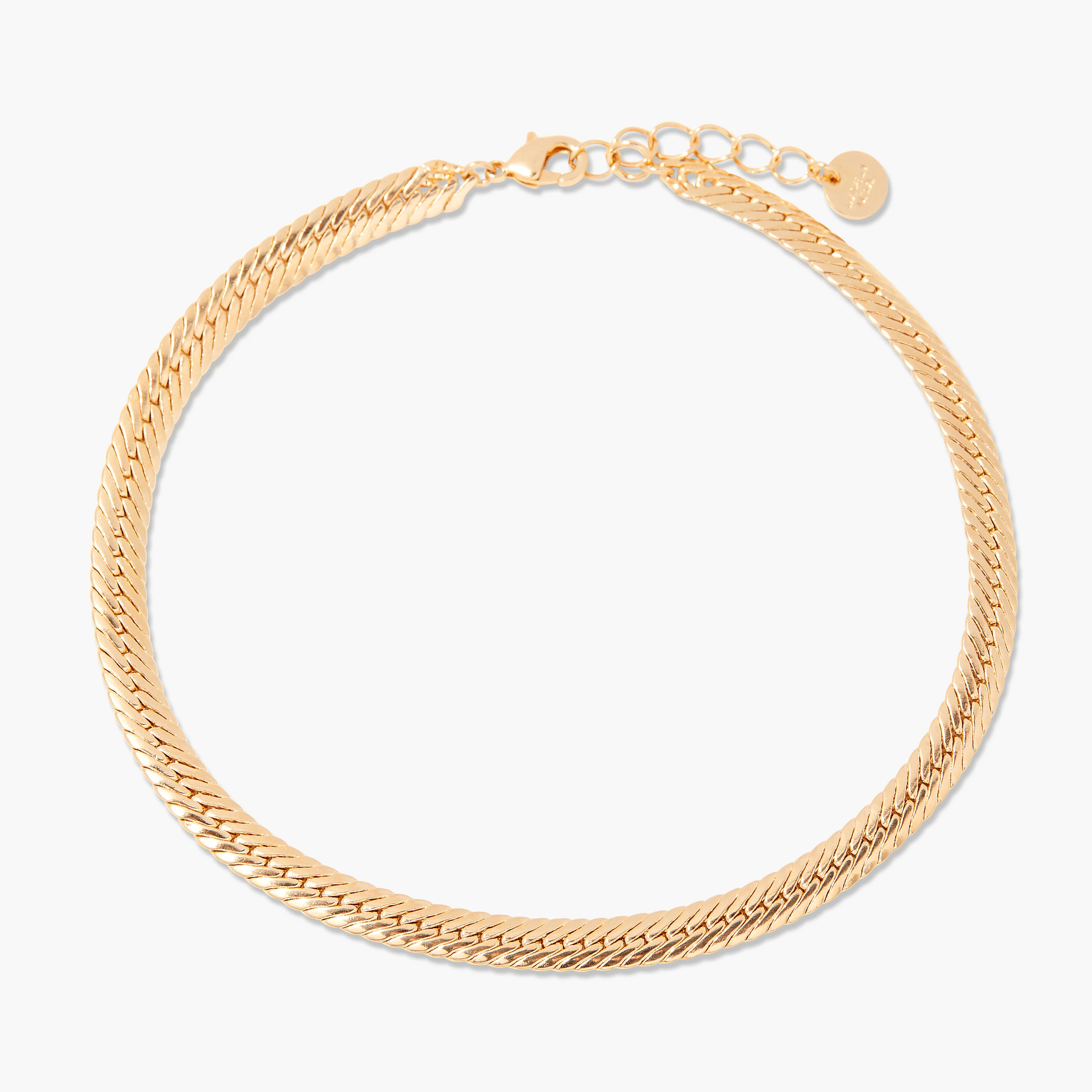 Image of Wells Anklet