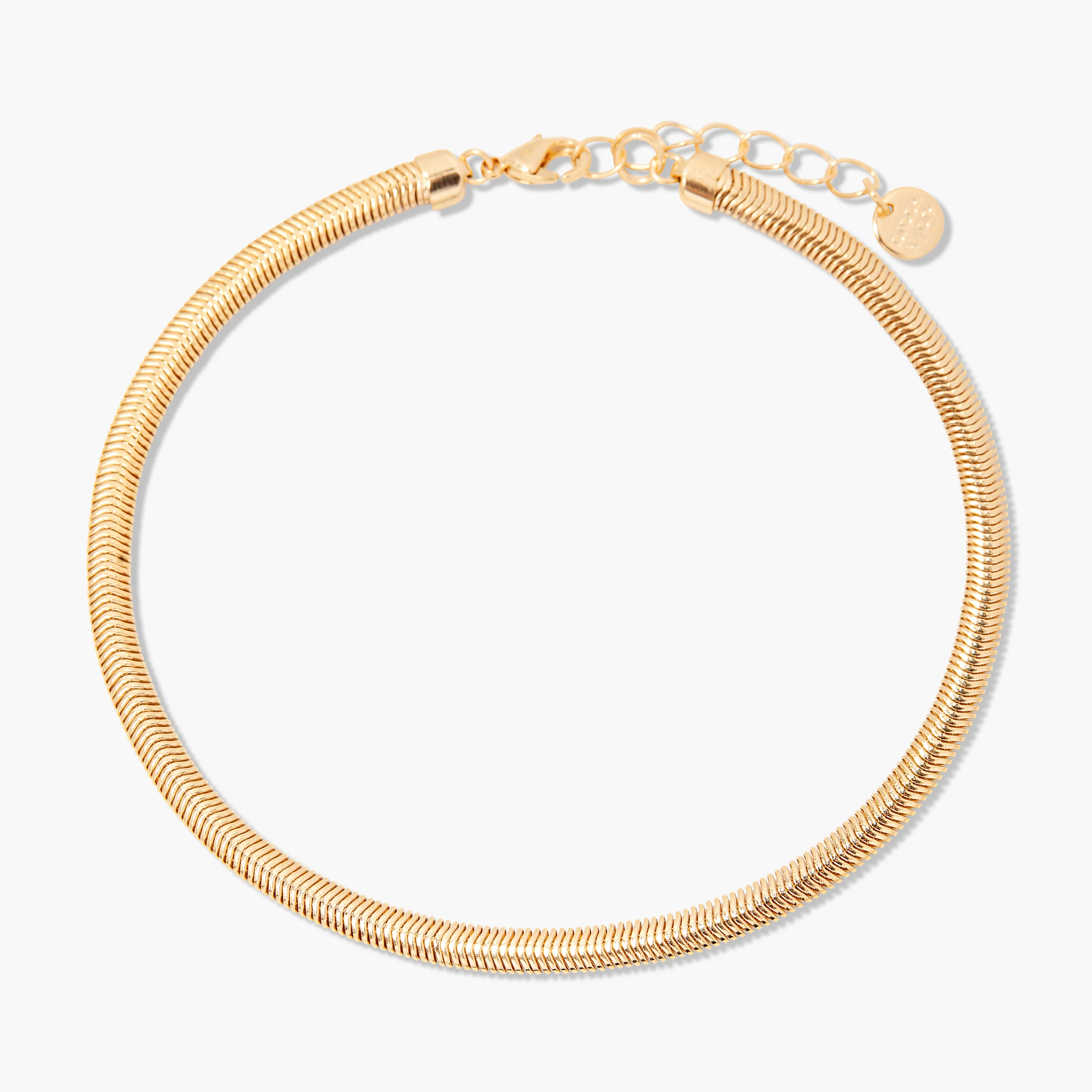 Image of Izzy Herringbone Anklet