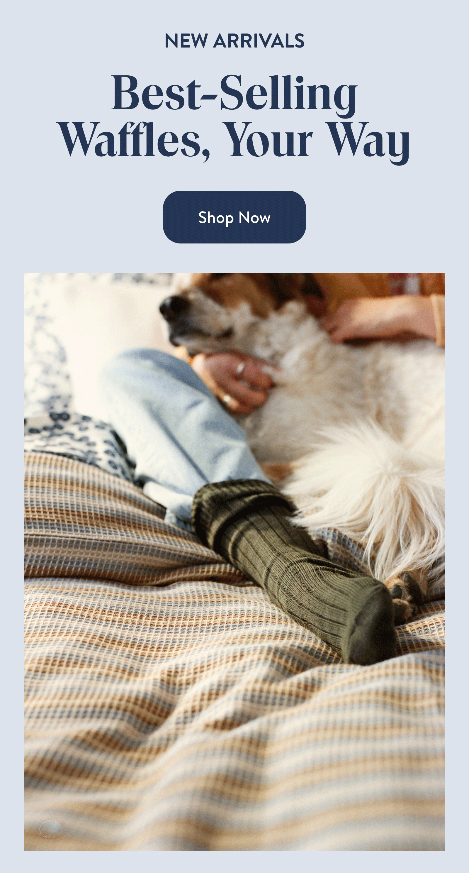Shop Now