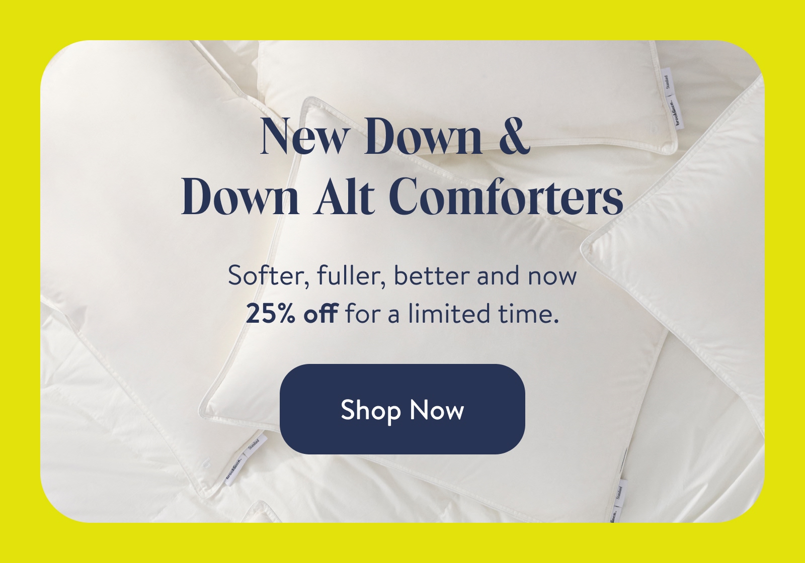 Shop Now