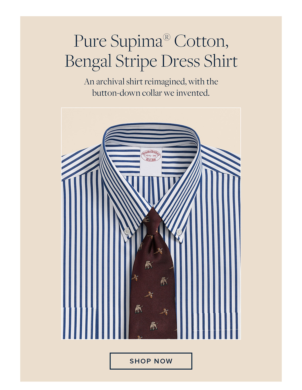 Shop Dress Shirt