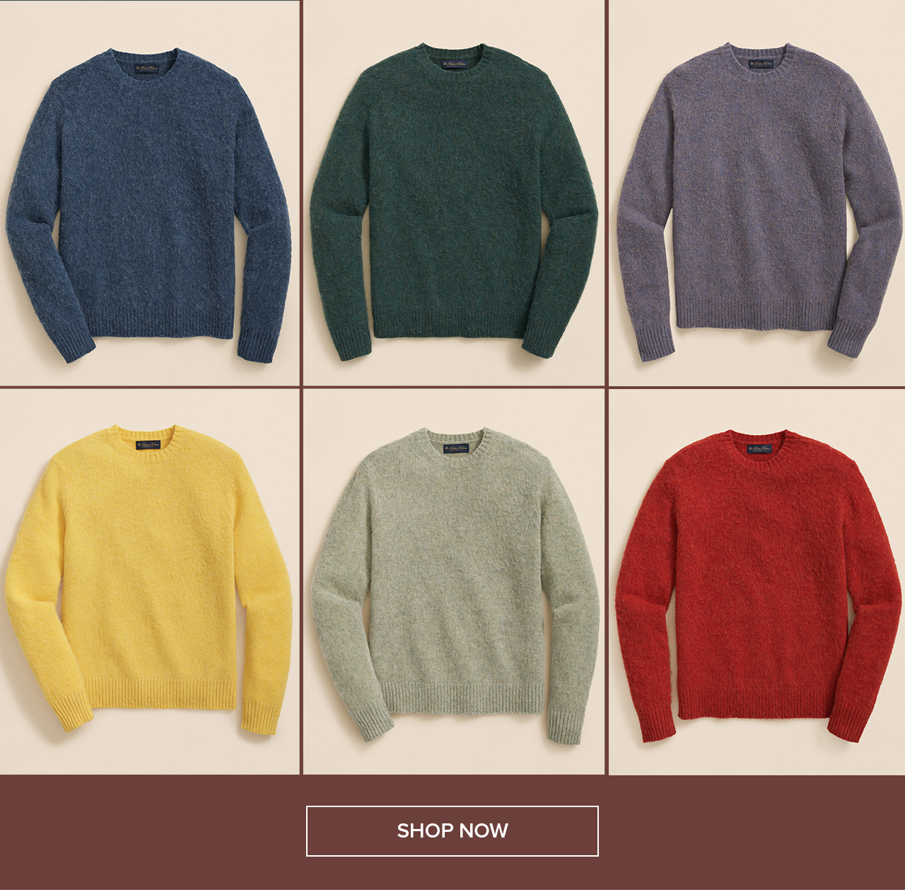 Shop Now Shop Now