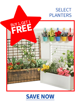 BOGO FREE SELECT PLANTERS
