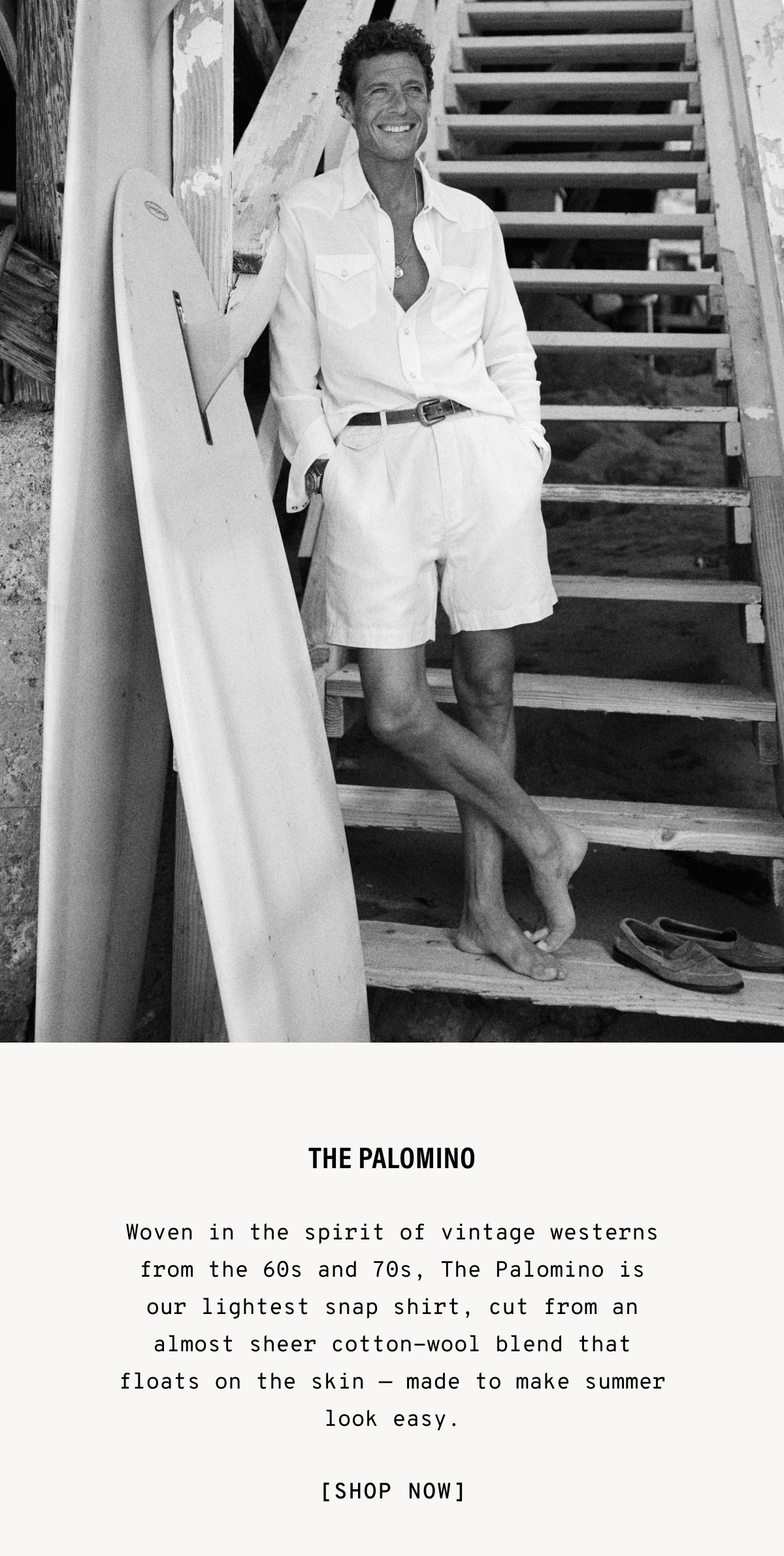 Palomino Western