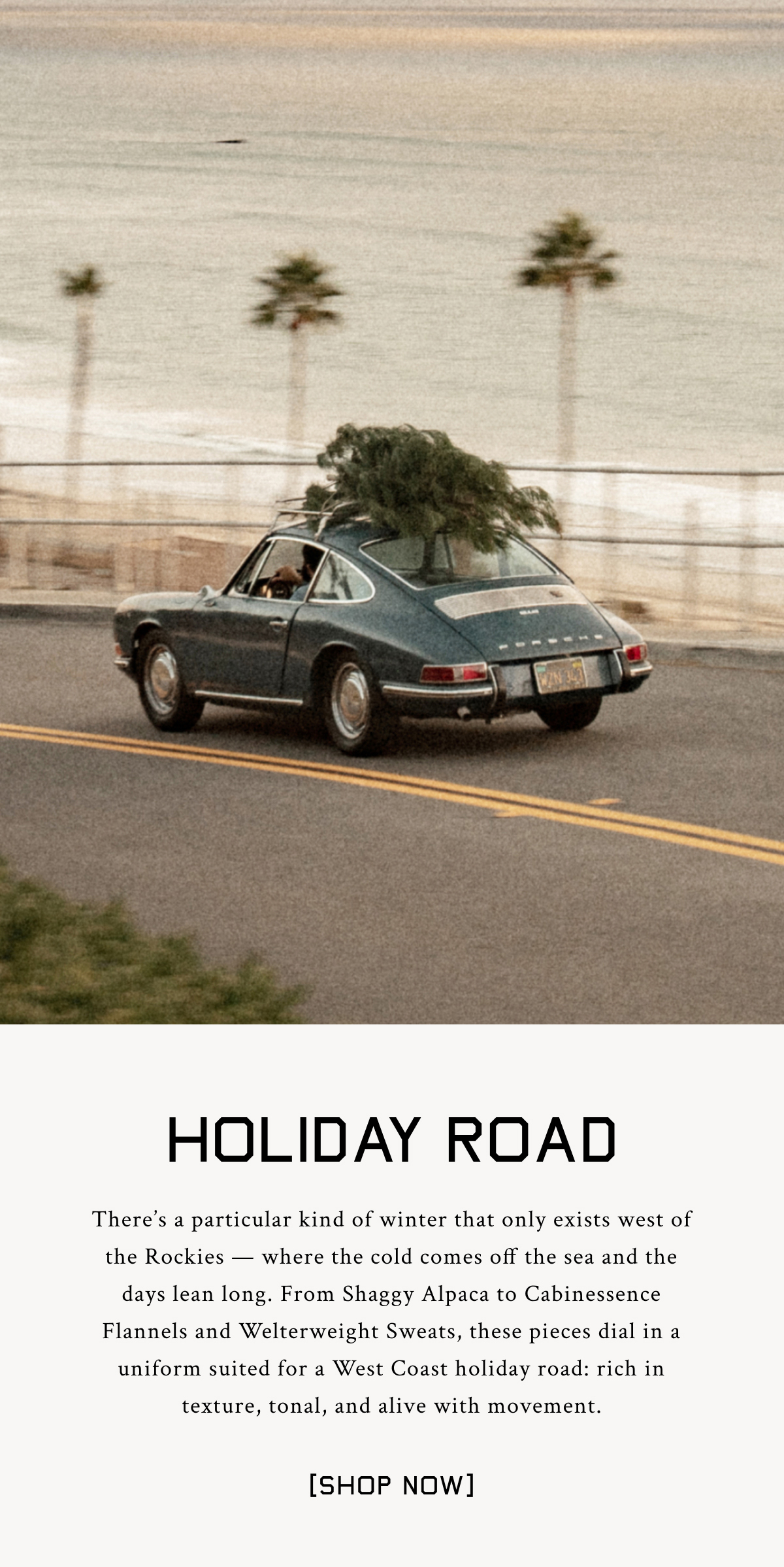 Holiday Road