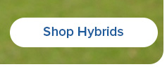  "Shop