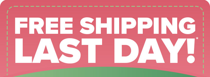 Free Shipping - One Day Only