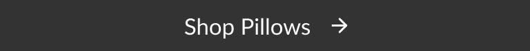 Shop Pillows