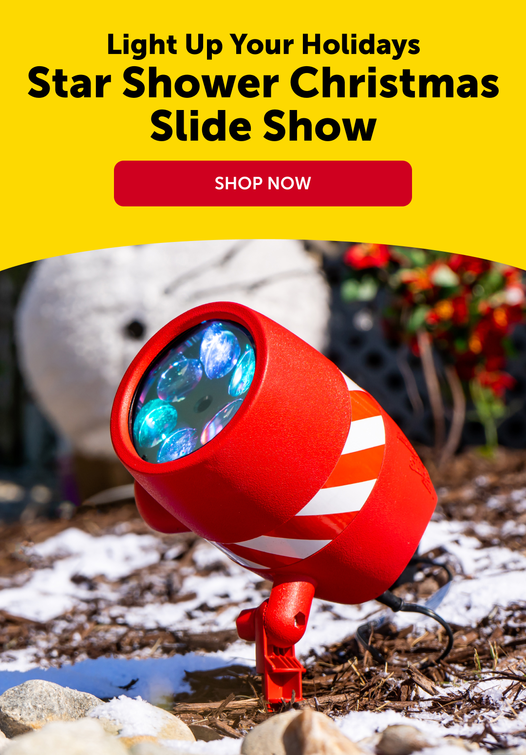 SHOP NOW